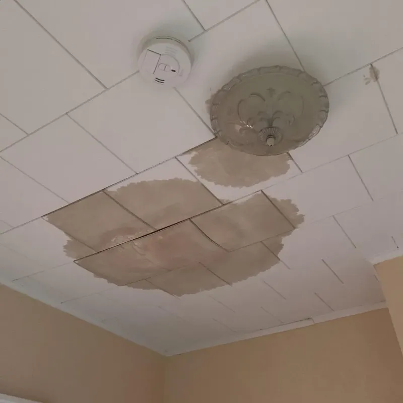 Ceiling Water Damage Repair in Miner County, SD