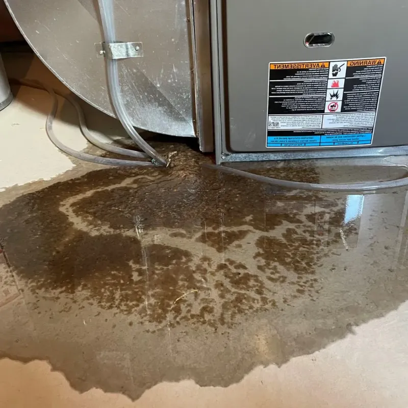 Pipe Burst and Leak Restoration in Miner County, SD
