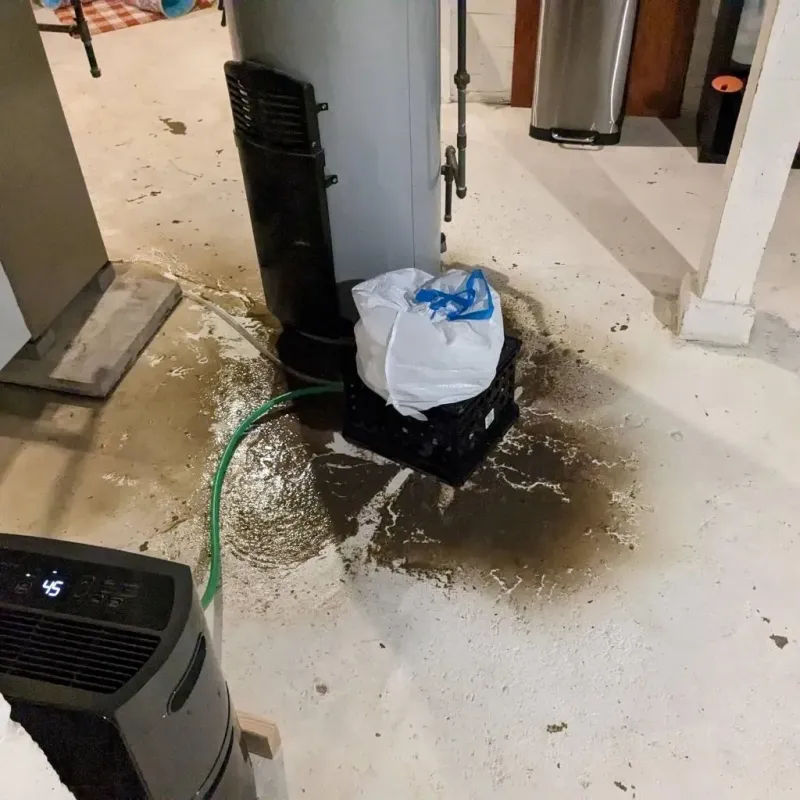 Sewage Backup Cleanup Service in Miner County, SD